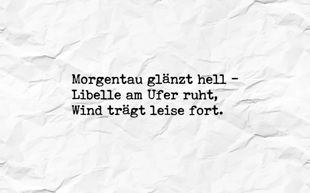 Zwischen Licht und Wort